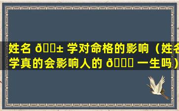 姓名 🐱 学对命格的影响（姓名学真的会影响人的 💐 一生吗）